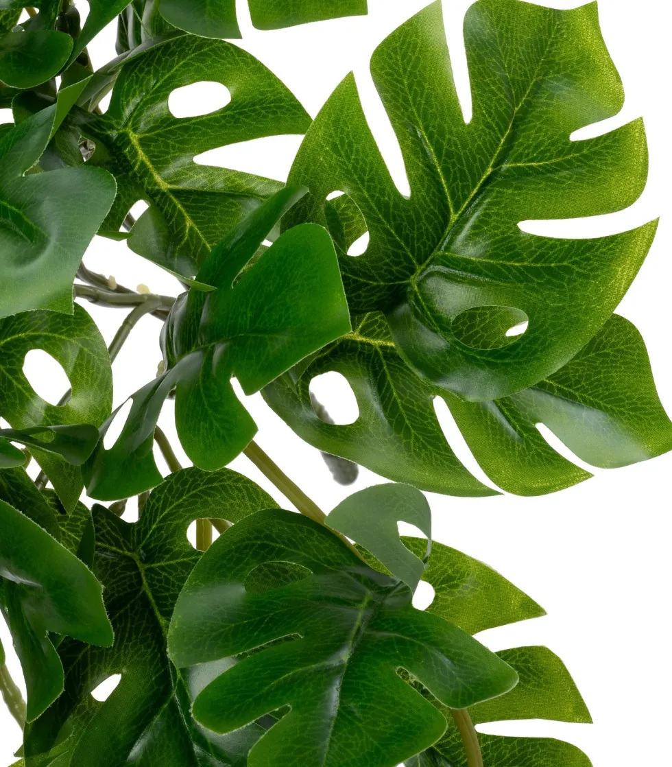 Intratuin kunsthangplant Monstera H 92 cm