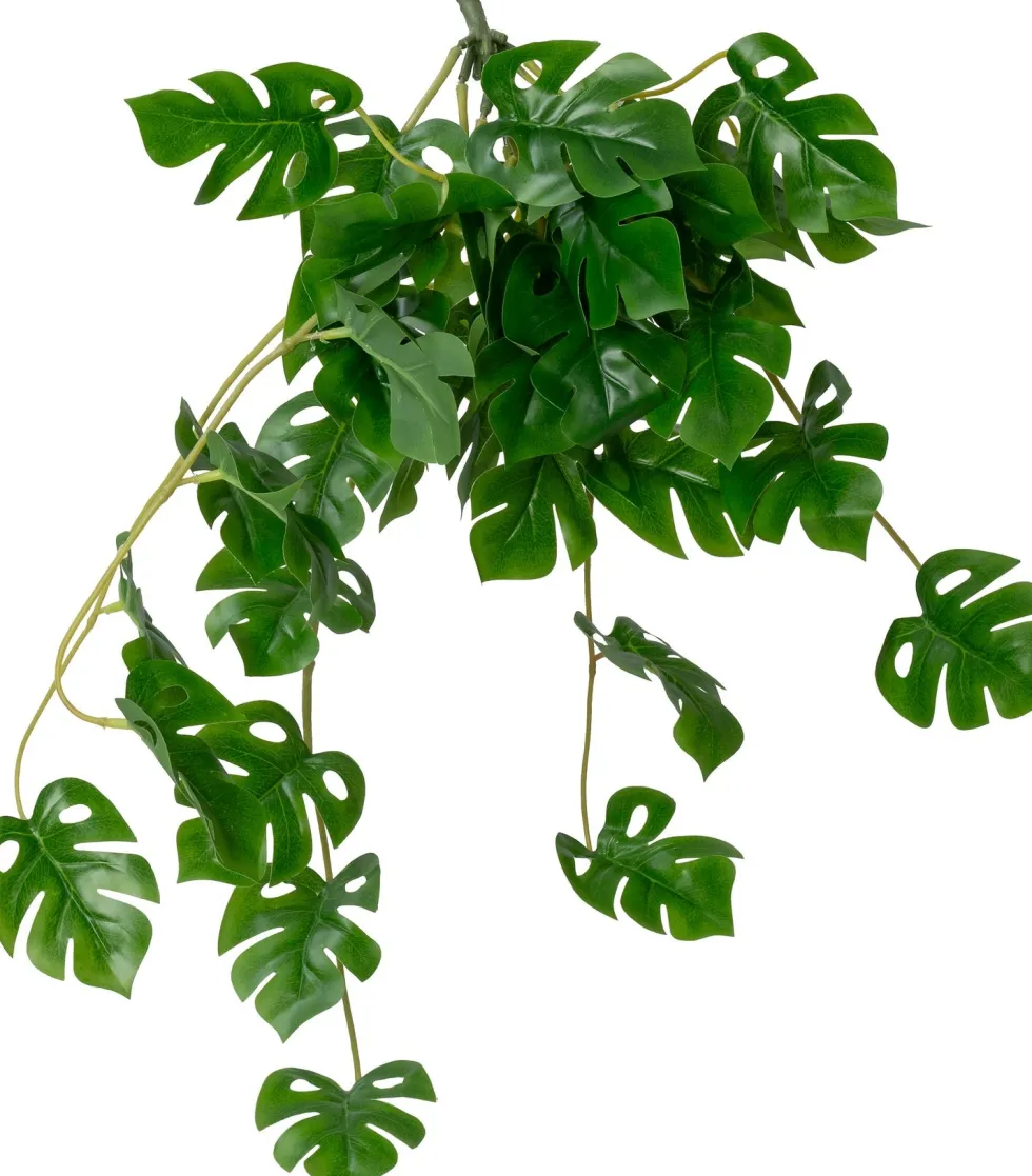Intratuin kunsthangplant Monstera H 70 cm