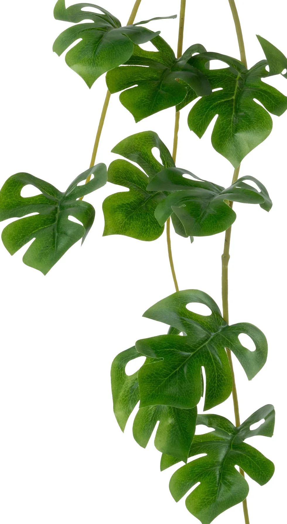 Intratuin kunsthangplant Monstera H 70 cm