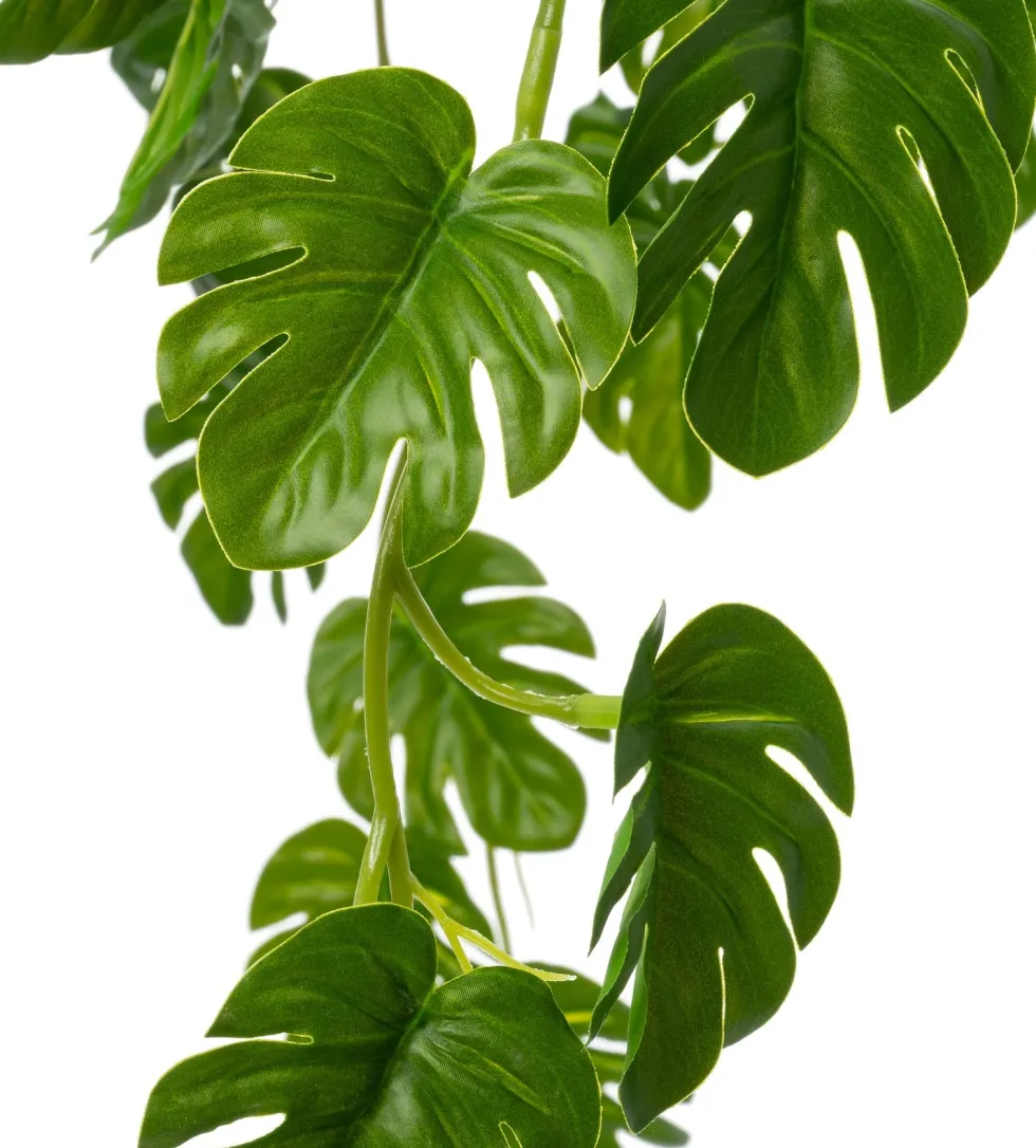 Intratuin kunsthangplant Monstera H 50 cm