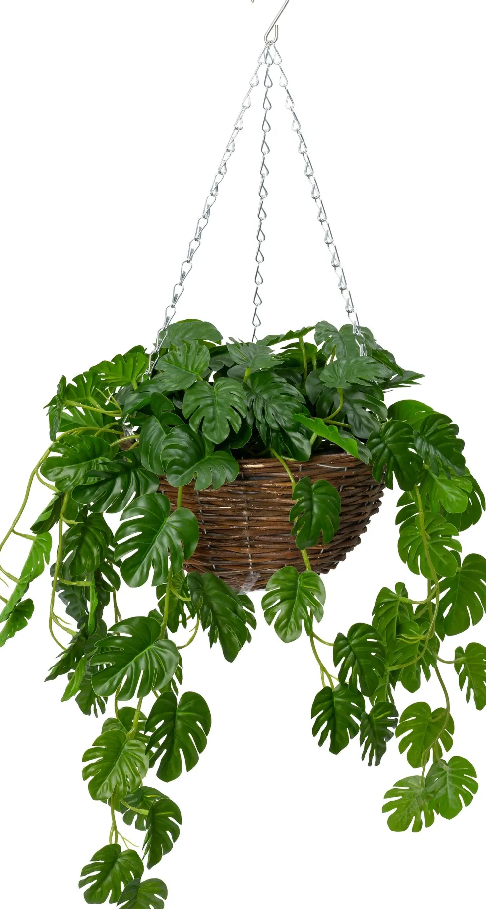 Intratuin kunsthangplant Monstera H 50 cm