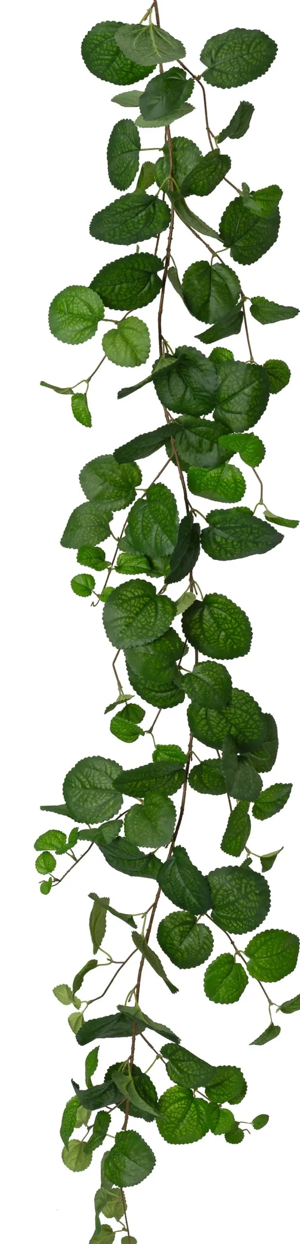 Intratuin kunsthangplant Munt H 170 cm