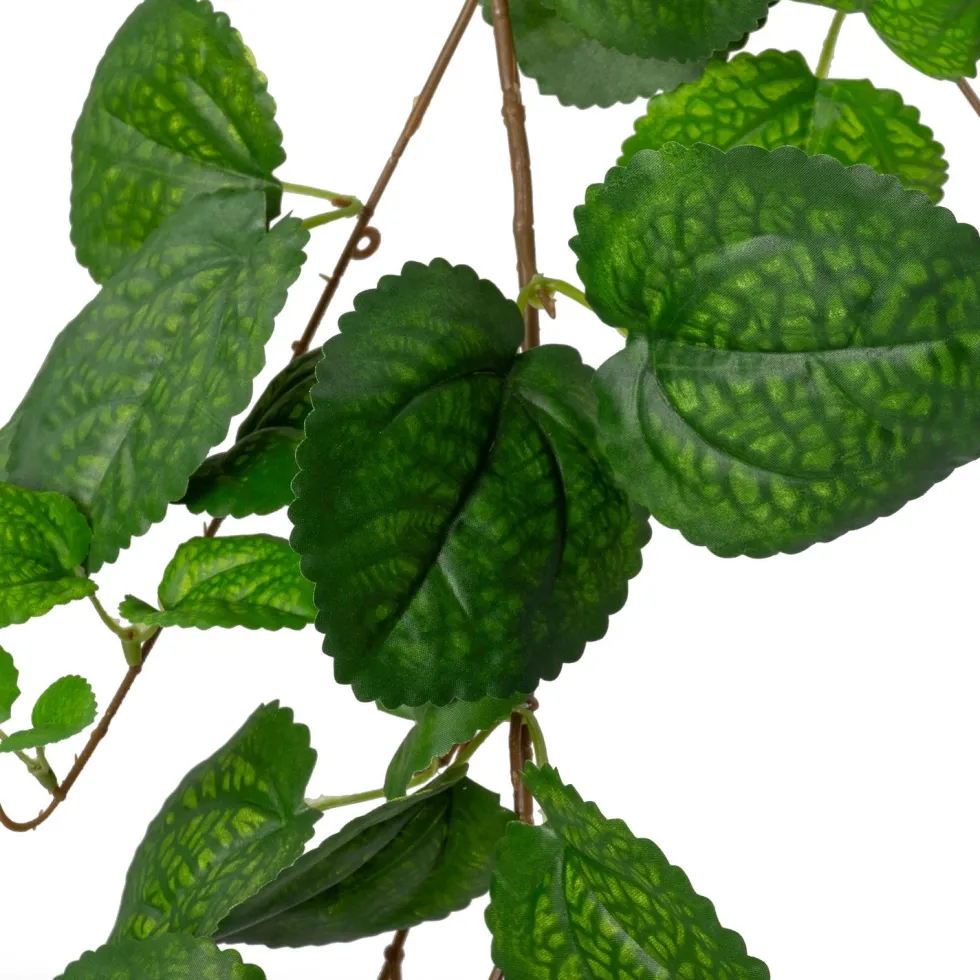 Intratuin kunsthangplant Munt H 170 cm