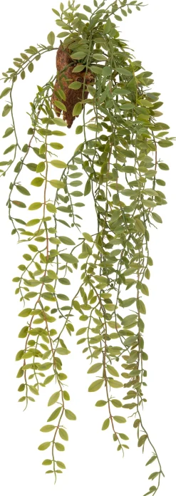 Intratuin kunsthangplant Peperomia H 85 cm
