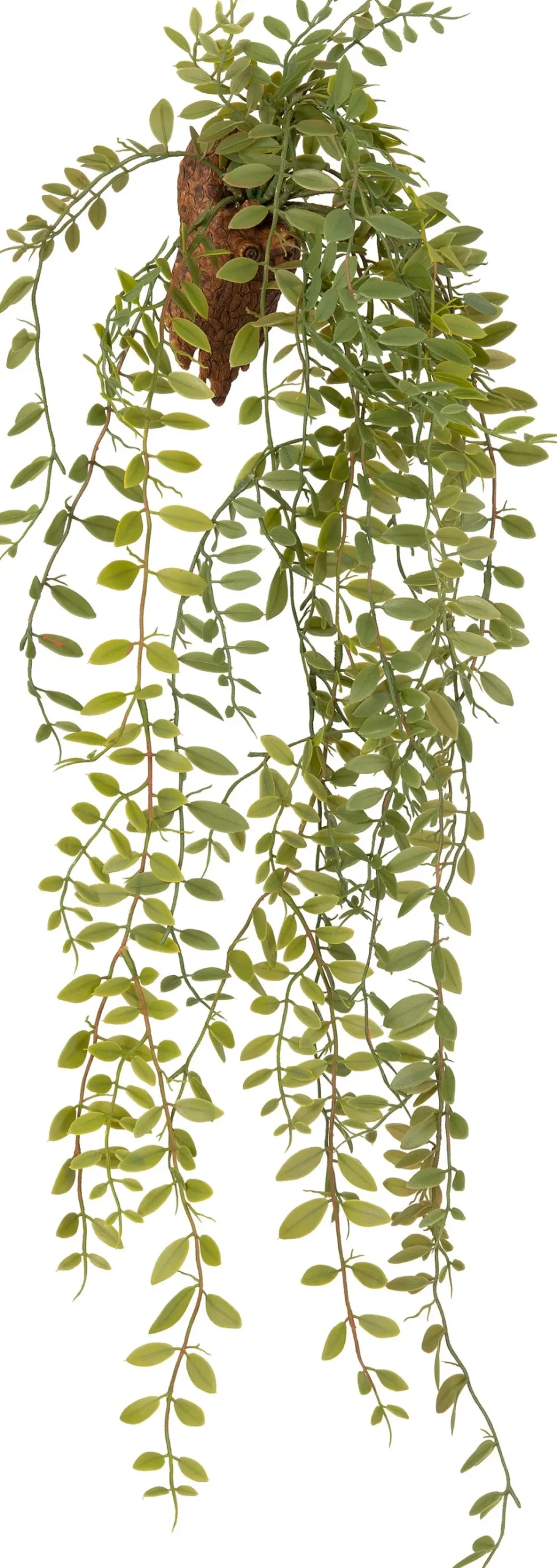 Intratuin kunsthangplant Peperomia H 85 cm