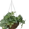 Intratuin kunsthangplant Peperomia H 50 cm