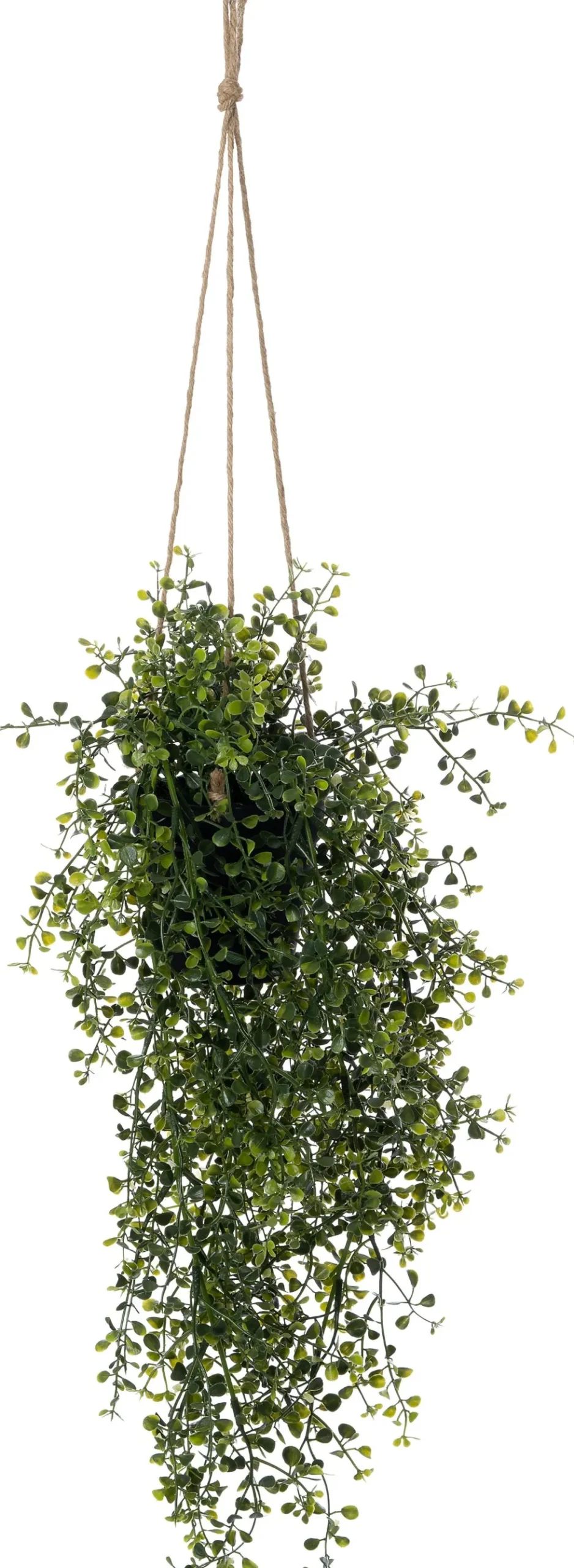 Intratuin kunsthangplant Peterselie geel H 51 cm