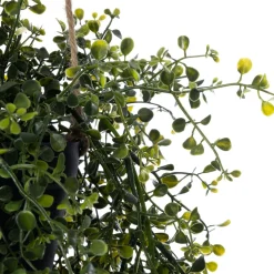 Intratuin kunsthangplant Peterselie geel H 51 cm