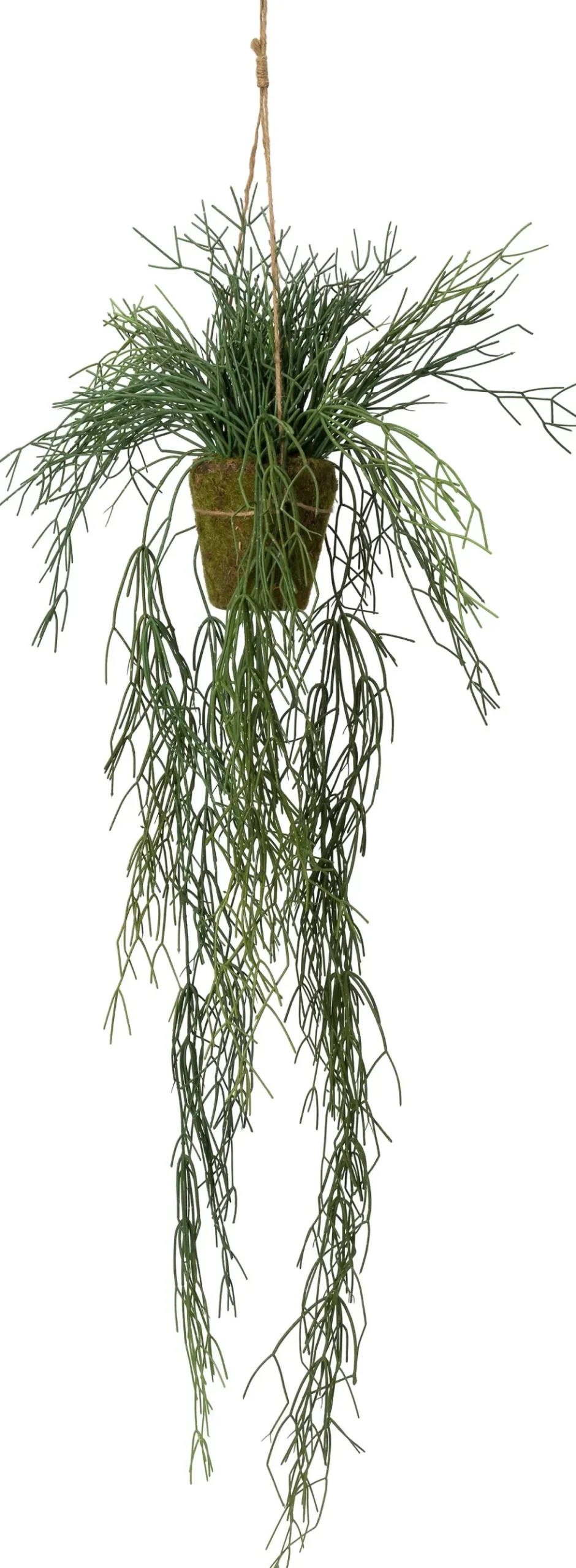 Intratuin kunsthangplant Rhipsalis H 140 cm