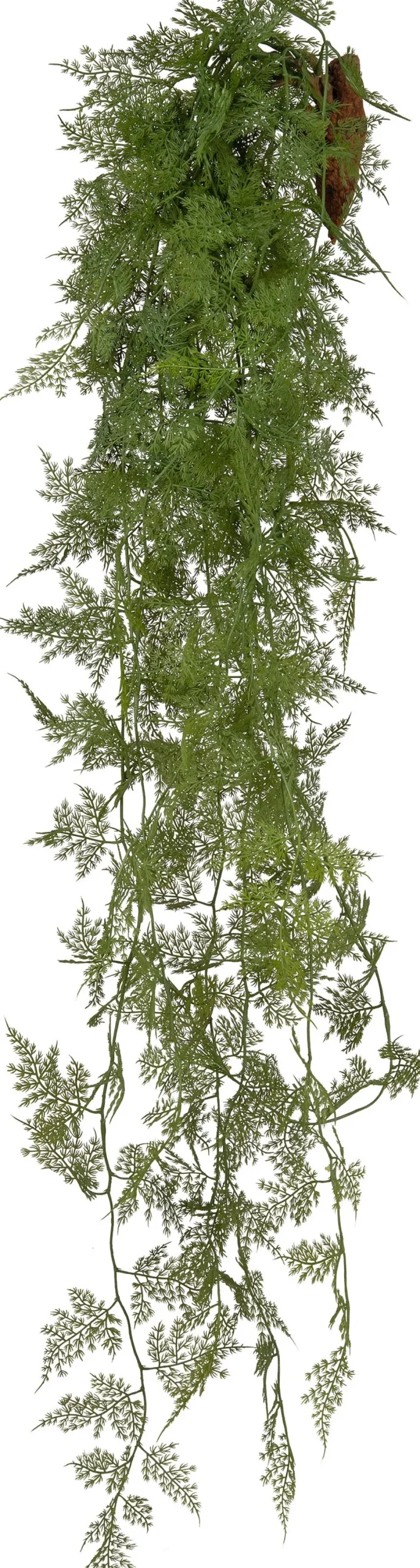 Intratuin kunsthangplant Sierasperge H 132 cm