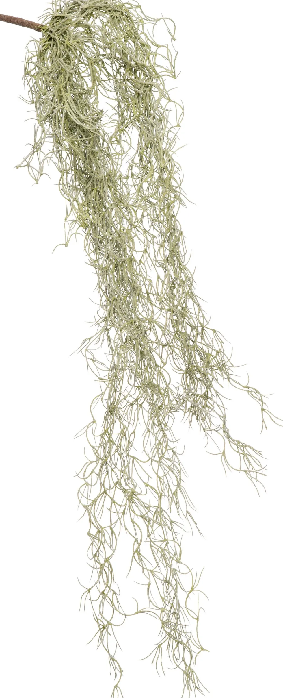 Intratuin kunsthangplant Tillandsia grijs H 74 cm