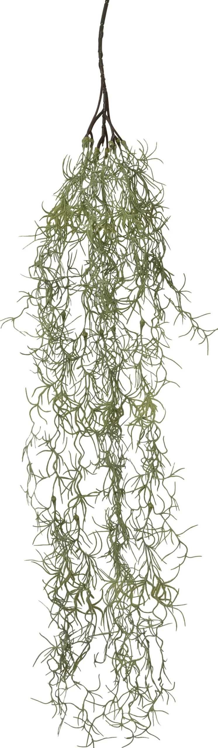 Intratuin kunsthangplant Tillandsia H 90 cm