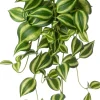 Intratuin kunsthangplant Vaderplant groen / geel H 60 cm