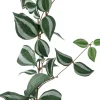 Intratuin kunsthangplant Vaderplant H 170 cm