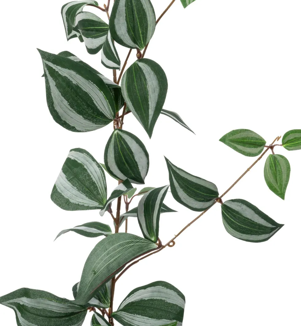 Intratuin kunsthangplant Vaderplant H 170 cm