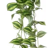 Intratuin kunsthangplant Vaderplant groen / geel H 100 cm