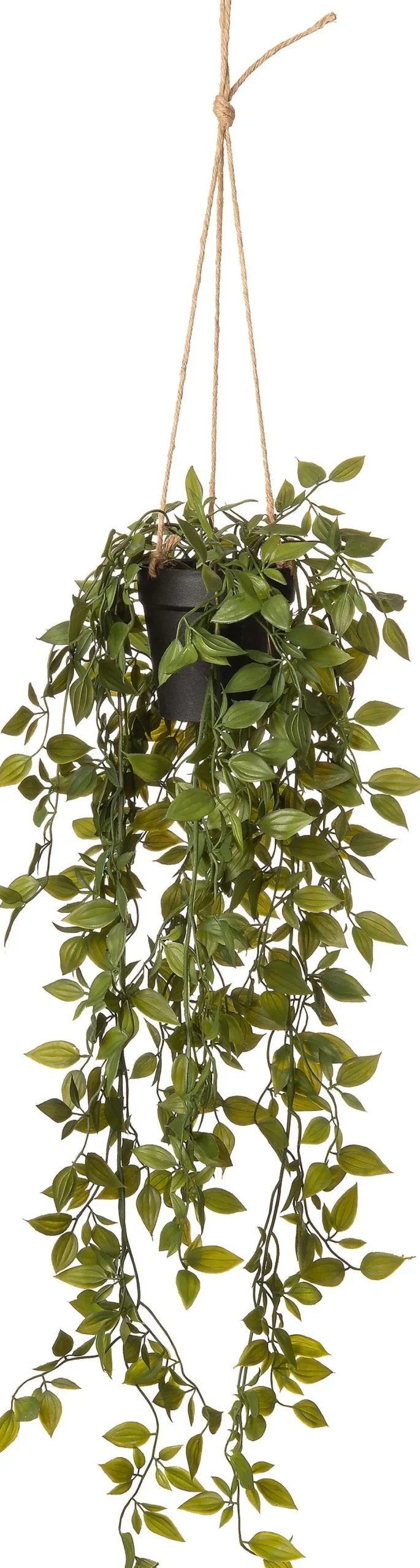 Intratuin kunsthangplant Vaderplant H 96,5 cm
