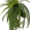 Intratuin kunsthangplant Varen H 80 cm