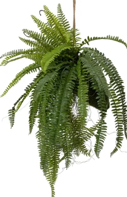Intratuin kunsthangplant Varen H 80 cm