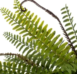 Intratuin kunsthangplant Varen H 80 cm