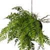 Intratuin kunsthangplant Varen H 70 cm