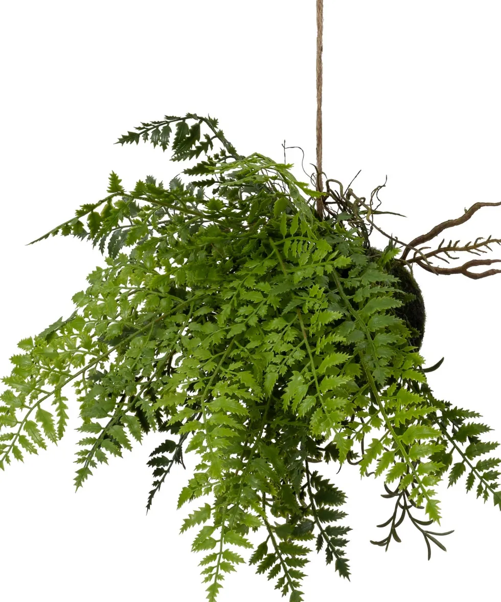 Intratuin kunsthangplant Varen H 70 cm