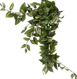 Intratuin kunsthangplant Vaderplant groen / wit H 70 cm