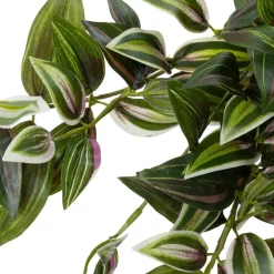 Intratuin kunsthangplant Vaderplant groen / wit H 70 cm
