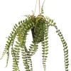 Intratuin kunsthangplant Varen H 78 cm