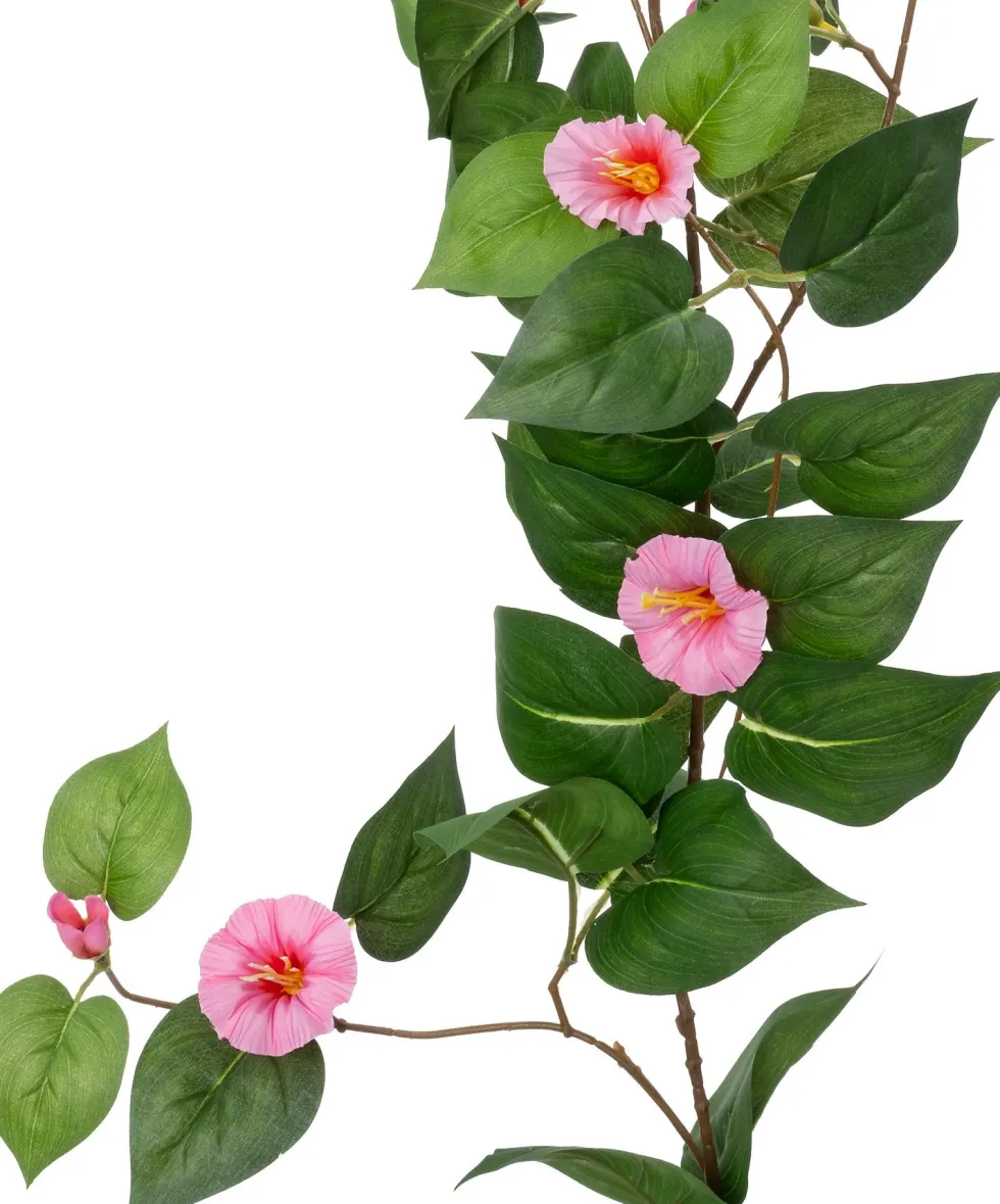 Intratuin kunsthangplant Winde roze H 170 cm