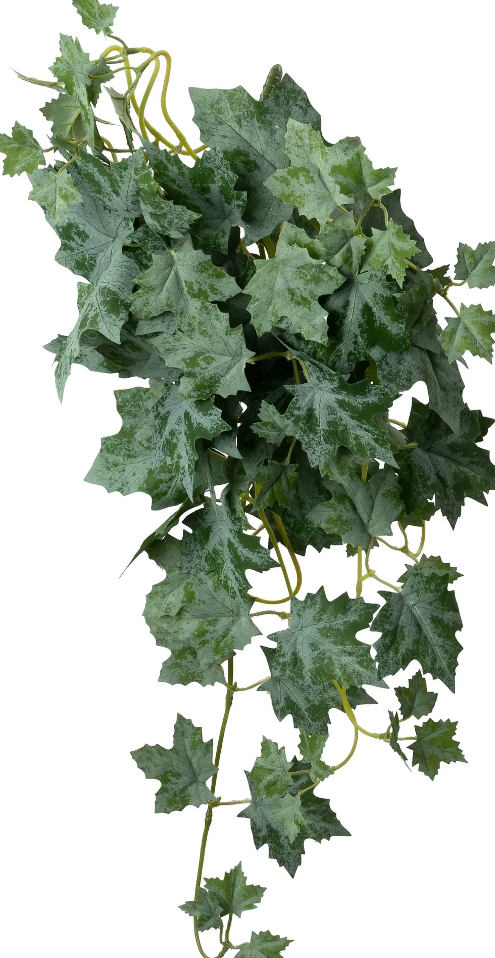 Intratuin kunsthangplant Widle wingerd H 60 cm
