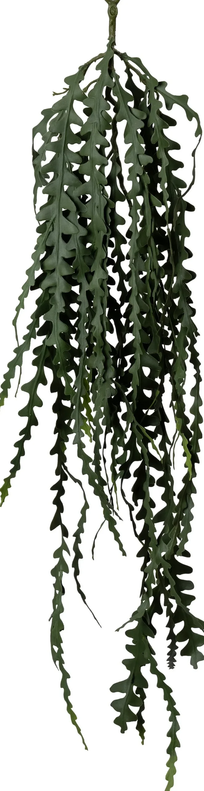 Intratuin kunsthangplant Zaagcactus H 104 cm