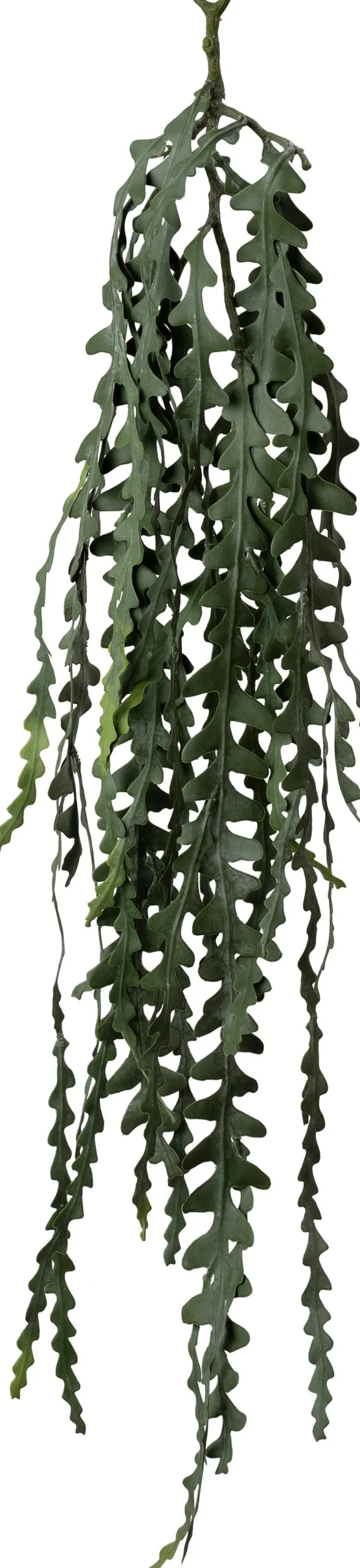 Intratuin kunsthangplant Zaagcactus grijsgroen H 91 cm