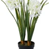 Intratuin kunstplant Afrikaanse Lelie wit D 15,5 H 60 cm