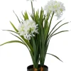 Intratuin kunstplant Afrikaanse Lelie wit D 17 H 82 cm
