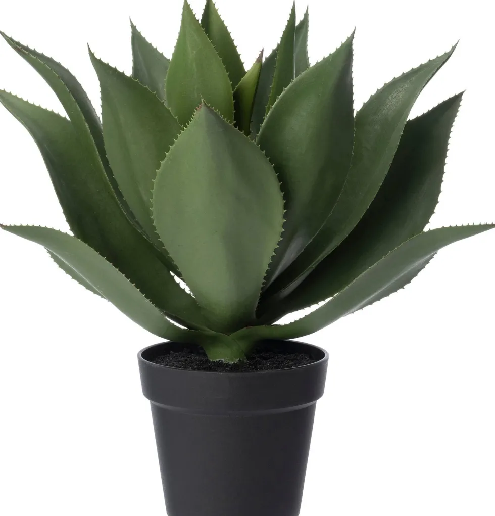 Intratuin kunstplant Agave D 22 H 51 cm