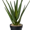 Intratuin kunstplant Aloe vera D 12,5 H 38 cm
