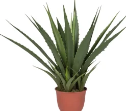 Intratuin kunstplant Aloe vera H 107 cm