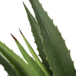 Intratuin kunstplant Aloe vera H 107 cm