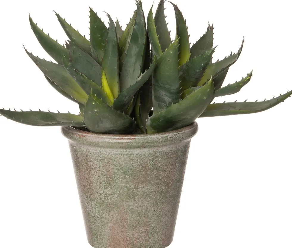 Intratuin kunstplant Aloë geel H 35,5 cm