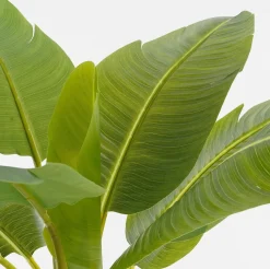 Intratuin kunstplant Banaan H 120 cm