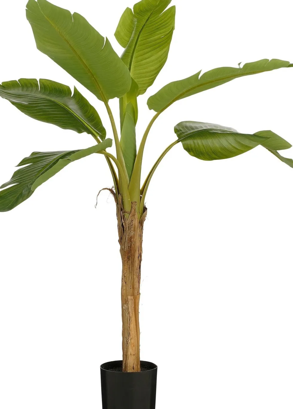 Intratuin kunstplant Banaan H 120 cm