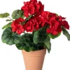 Intratuin kunstplant Begonia rood H 35 cm