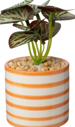 Intratuin kunstplant Bladbegonia oranje D 7,5 H 13 cm
