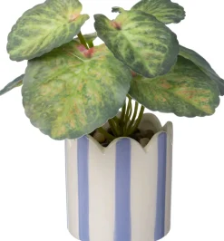 Intratuin kunstplant Bladbegonia paars D 7,5 H 16 cm