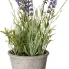 Intratuin kunstplant Blauw druifje blauw H 25 cm