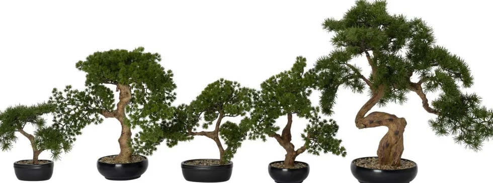 Intratuin kunstplant Bonsai den D H 72 cm