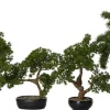 Intratuin kunstplant Bonsai den H 52 cm