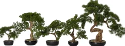 Intratuin kunstplant Bonsai den H 52 cm
