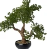 Intratuin kunstplant Bonsai den H 45 cm